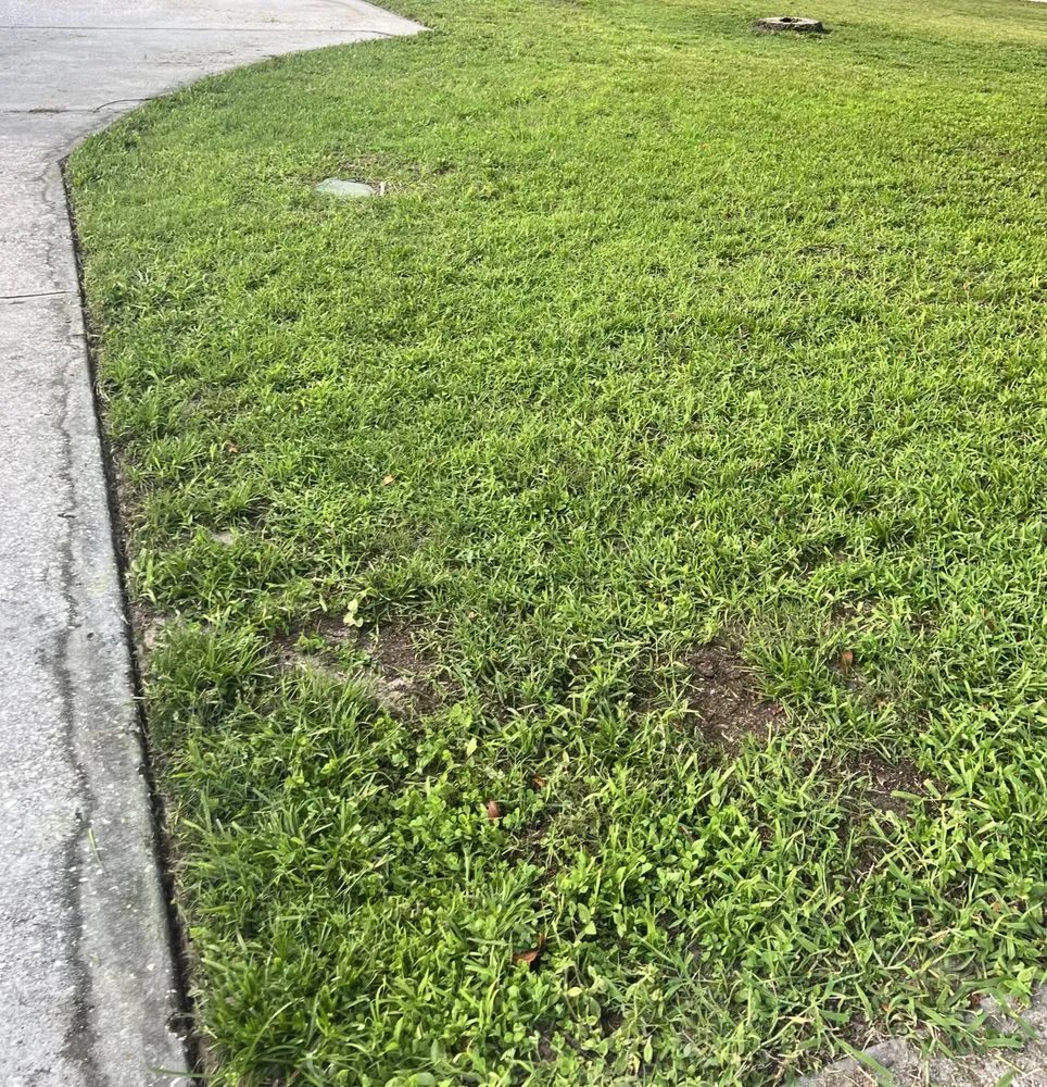 Local garden landscaping experts serving Holiday, FL - Beloved Lawns And Landscaping