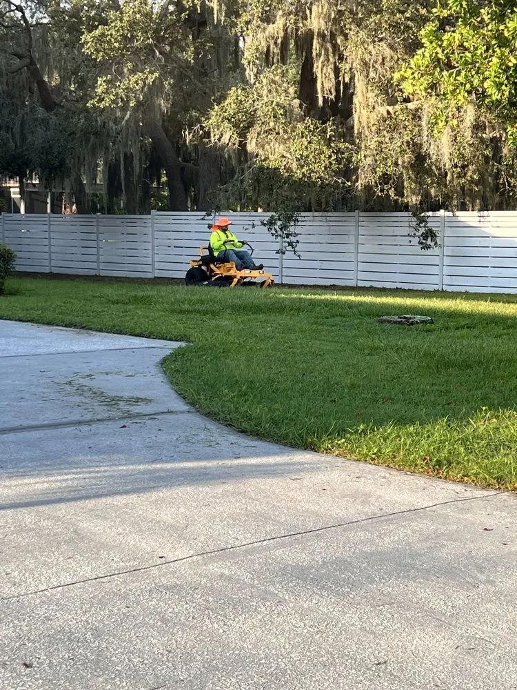 Custom yard cleanup service experts serving Holiday, FL - Beloved Lawns And Landscaping