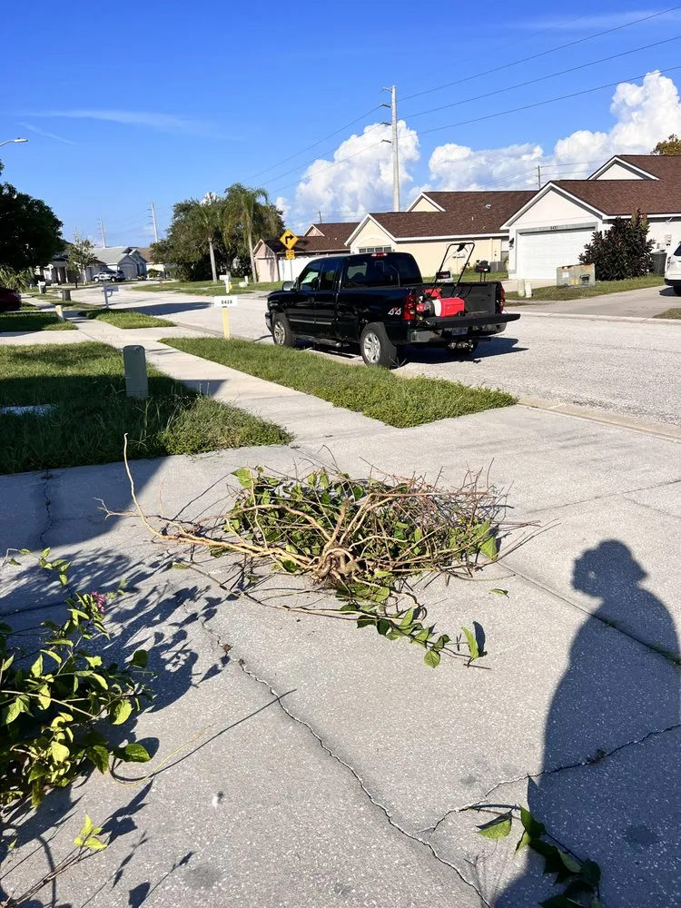 Affordable lawn care service experts serving Holiday, FL - Beloved Lawns And Landscaping