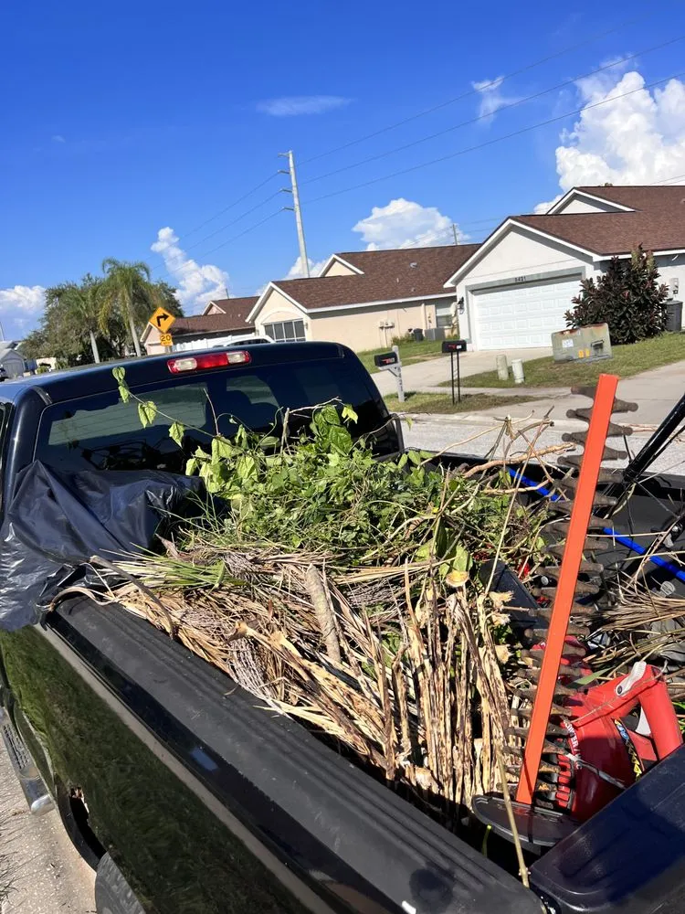 Reliable yard maintenance near you across Holiday, FL - Beloved Lawns And Landscaping