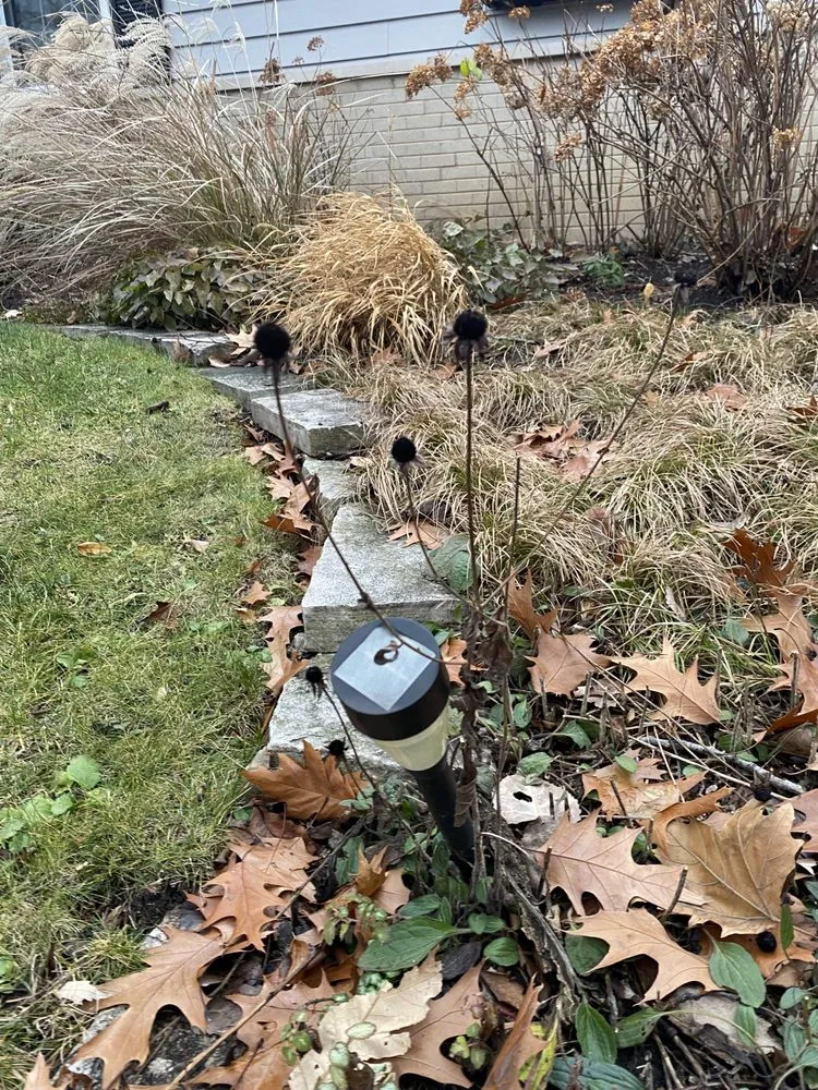 Reliable landscape design for homes in Park Ridge, IL by Belter Landscaping