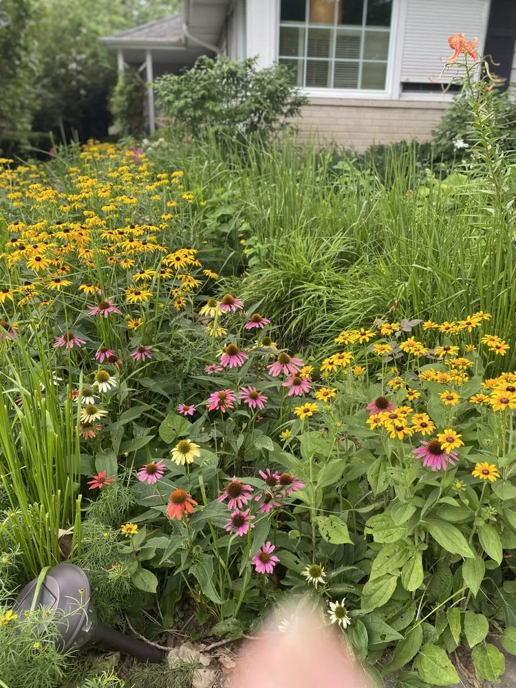 Reliable landscape installation experts serving Park Ridge, IL - Belter Landscaping