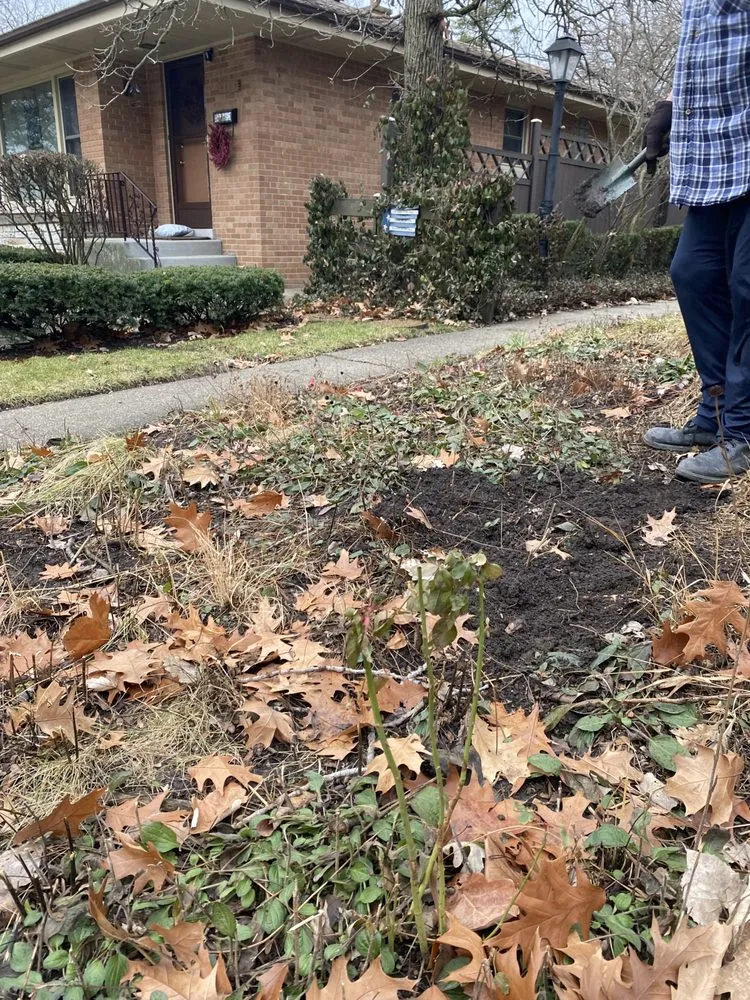 Top-rated landscaping services for year-round maintenance in Park Ridge, IL by Belter Landscaping