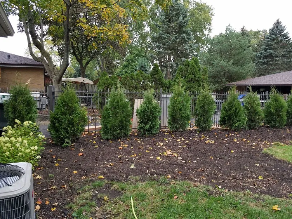 Affordable landscape design in Park Ridge, IL by Belter Landscaping