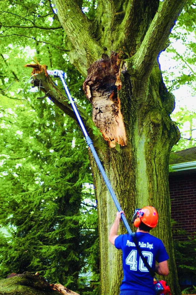 Affordable residential landscaping for year-round maintenance across Austin, TX - Belterra Lawn Care