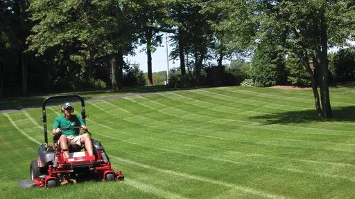 Professional residential landscaping in Austin, TX by Belterra Lawn Care