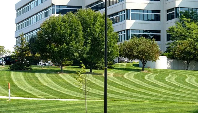 Affordable lawn care service in Austin, TX - Belterra Lawn Care