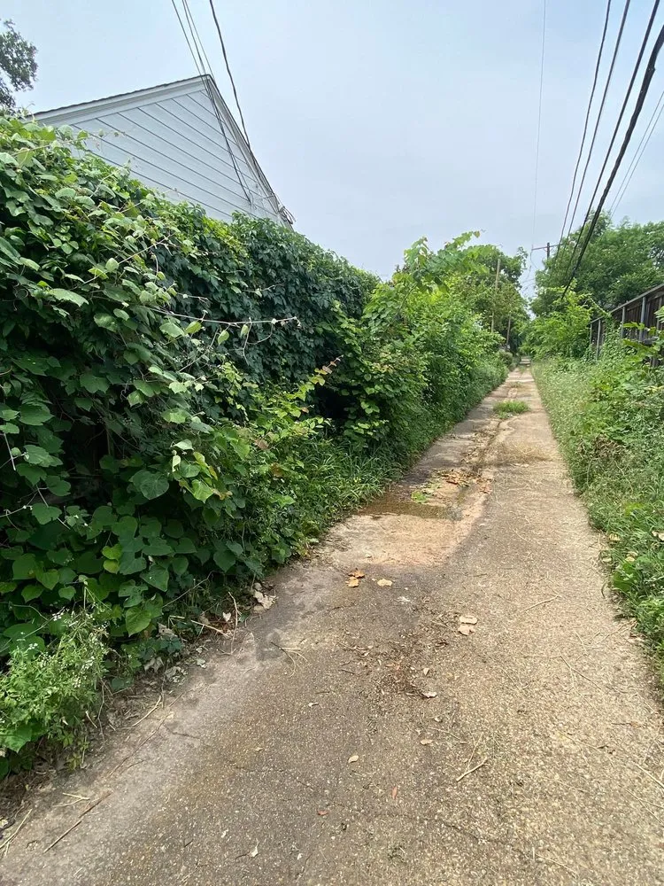 Local landscape design near you across Lewisville, TX - Beltran & Plus