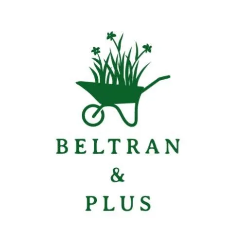 Custom garden landscaping for homes in Lewisville, TX by Beltran & Plus