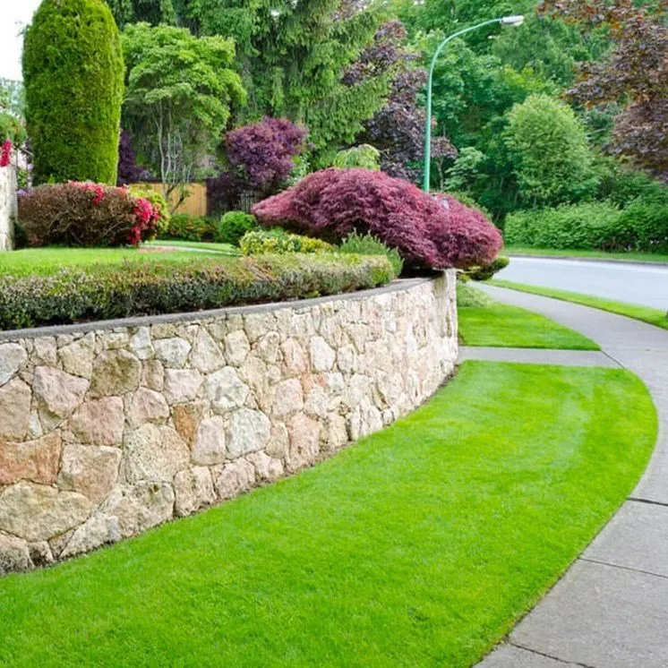 Affordable landscaping services in Lewisville, TX by Beltran & Plus