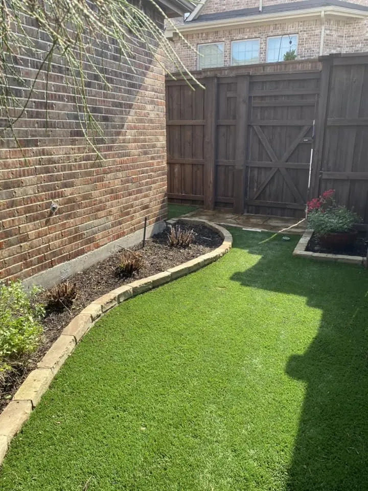 Local yard cleanup service in Lewisville, TX - Beltran & Plus