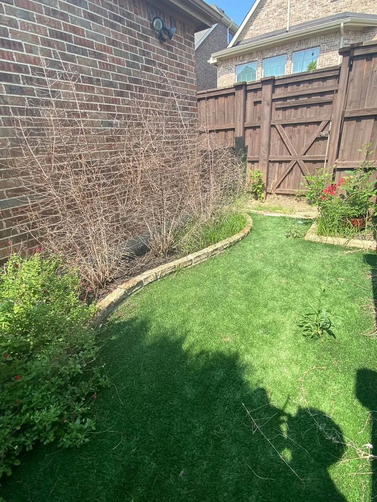 Professional yard cleanup service for homes across Lewisville, TX - Beltran & Plus