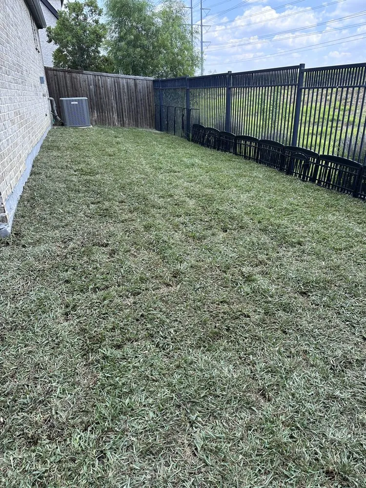 Top-rated landscape installation in Lewisville, TX - Beltran & Plus