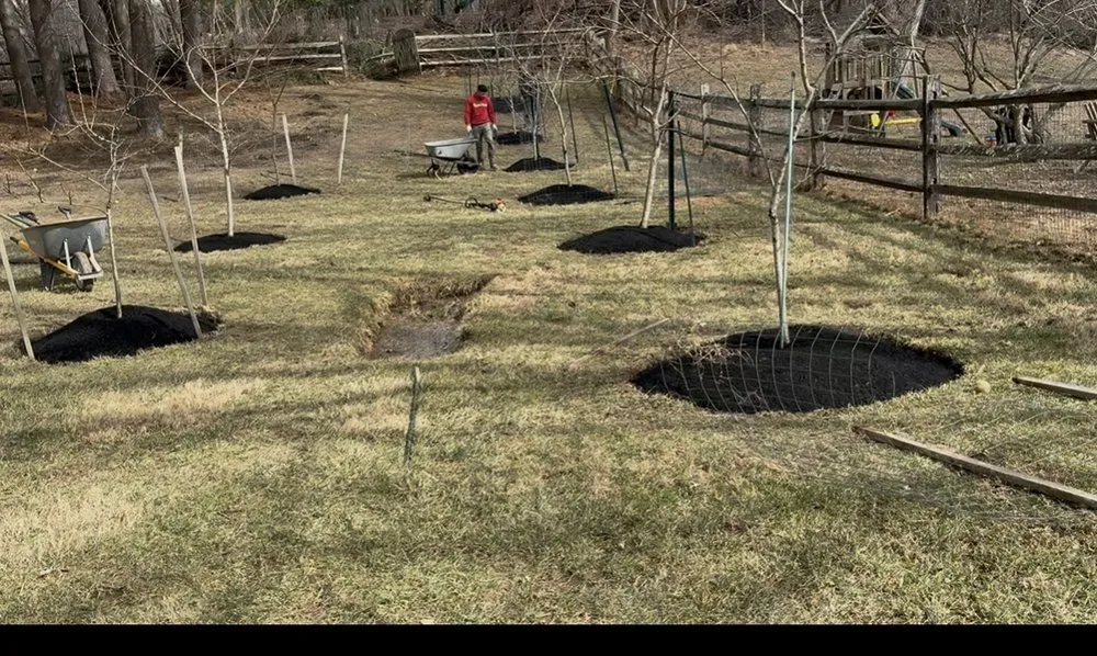 Top-rated yard maintenance experts serving Columbia, MD - Beltran Landscaping