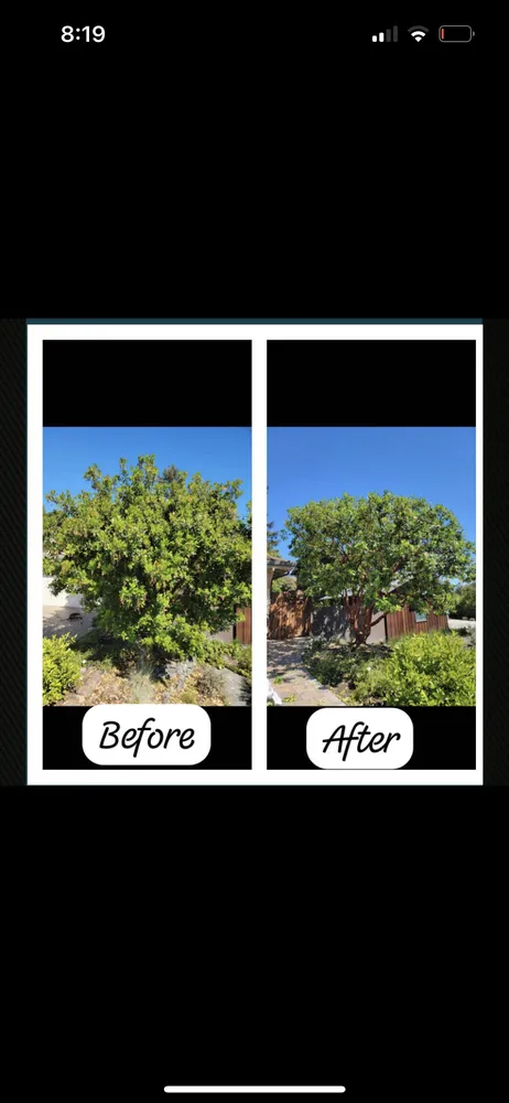 Expert landscaping services experts serving Redwood City, CA - Beltran Lopez Landscaping