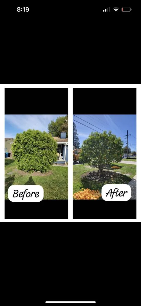 Local outdoor landscaping in Redwood City, CA by Beltran Lopez Landscaping
