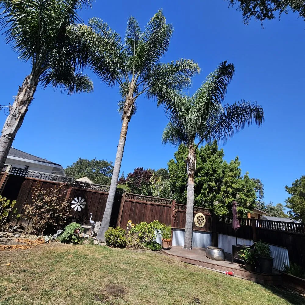 Top-rated landscaping services for residential properties across Redwood City, CA - Beltran Lopez Landscaping