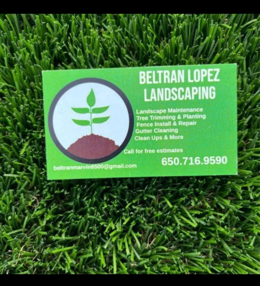 Professional yard cleanup service in Redwood City, CA by Beltran Lopez Landscaping