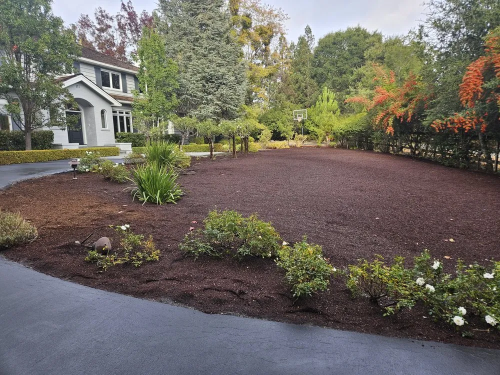 Expert landscape design for year-round maintenance across Redwood City, CA - Beltran Lopez Landscaping