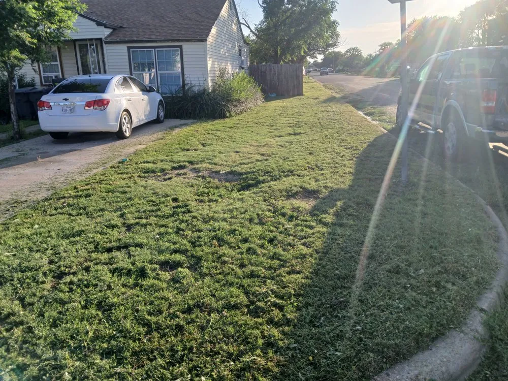 Trusted yard cleanup service with custom design across Amarillo, TX - Beltran Mowing Service