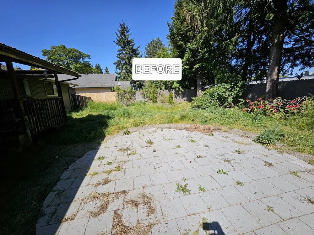 Top-rated garden landscaping for year-round maintenance across Springfield, OR - Beltrans Ground Maintenance