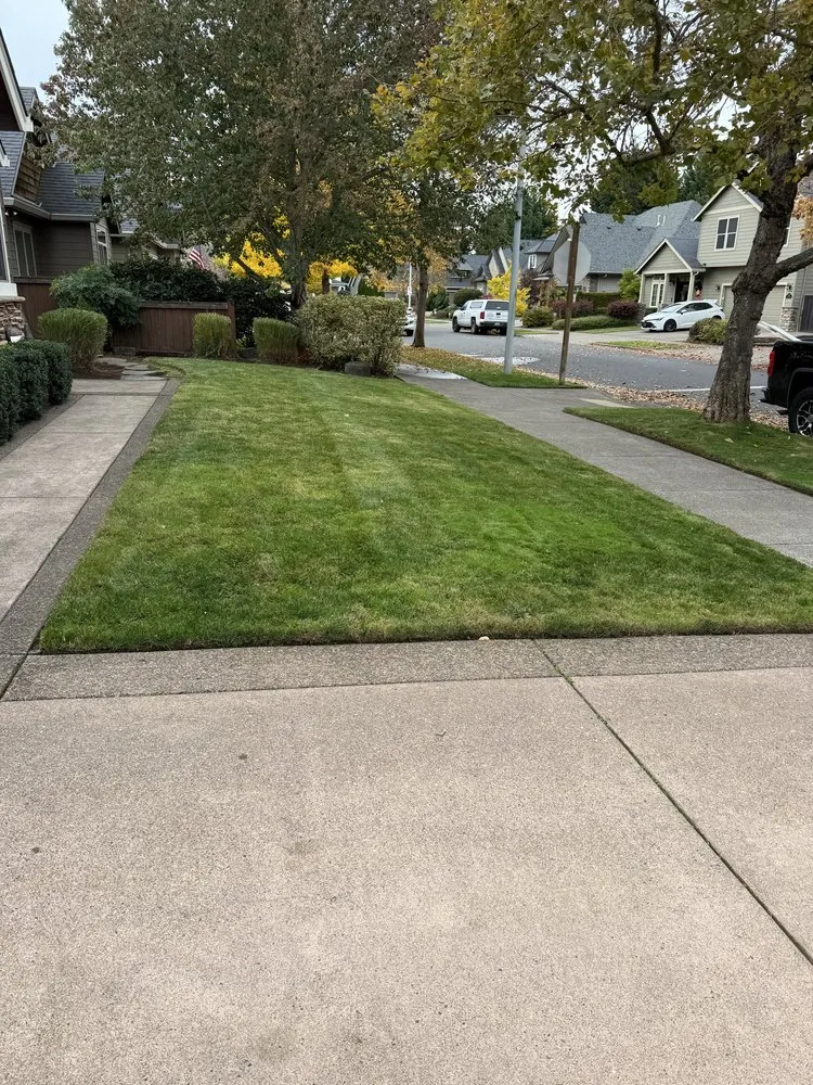 Affordable yard maintenance experts serving Springfield, OR - Beltrans Ground Maintenance