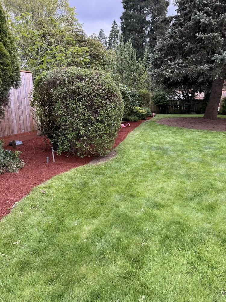 Custom landscape design in Springfield, OR by Beltrans Ground Maintenance