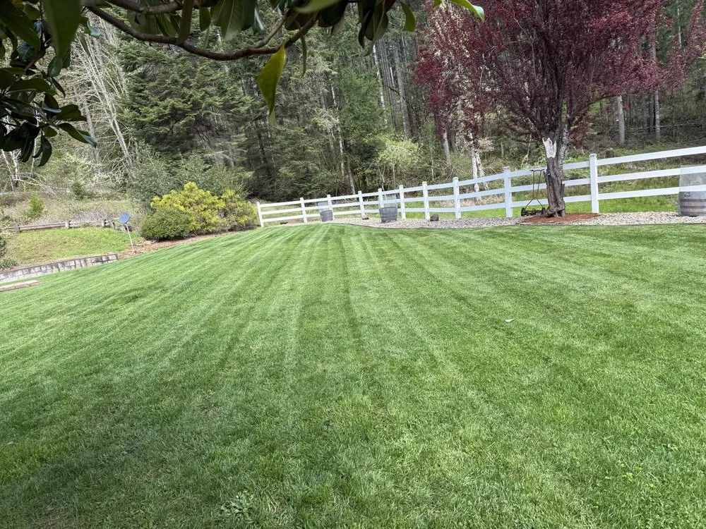 Reliable yard cleanup service with custom design across Springfield, OR - Beltrans Ground Maintenance