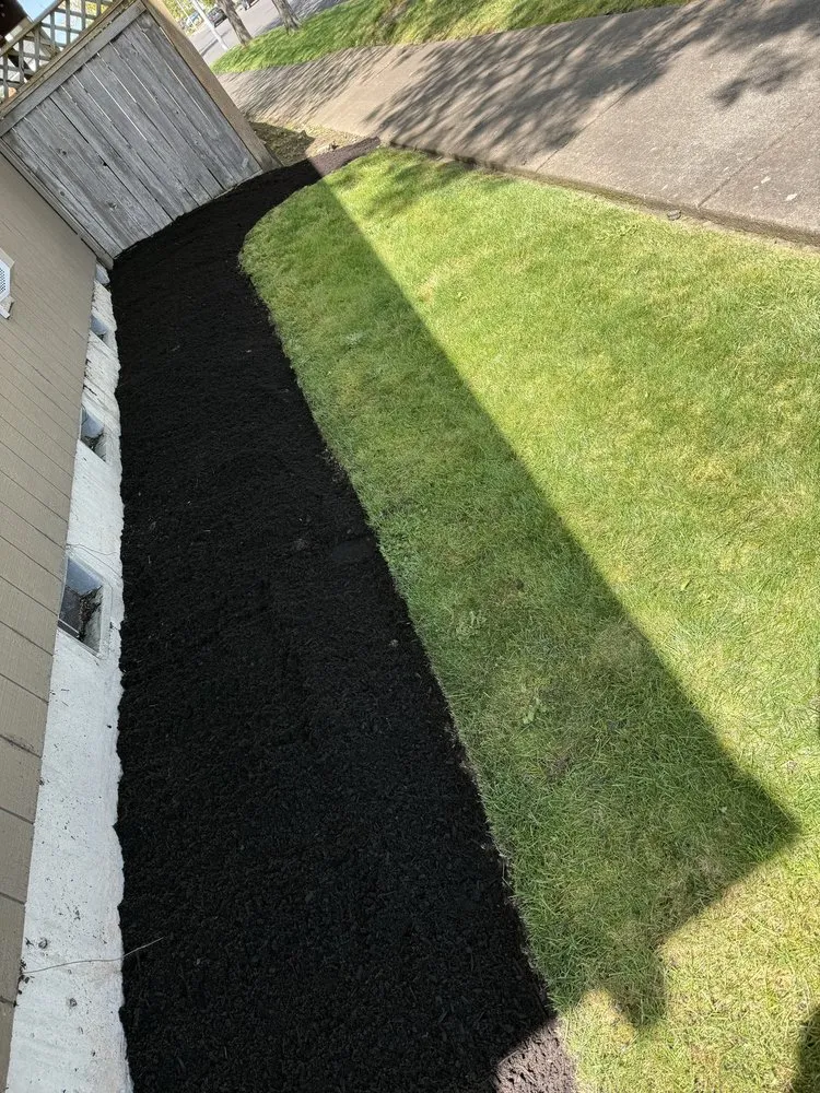 Expert yard cleanup service for residential properties in Springfield, OR by Beltrans Ground Maintenance