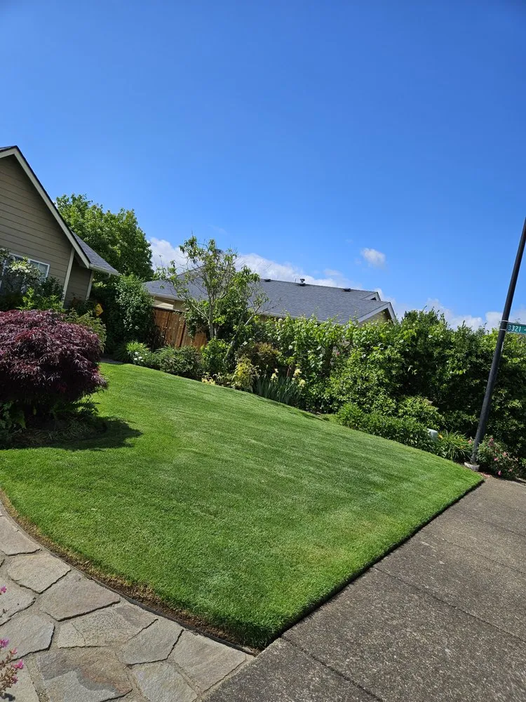 Reliable yard cleanup service in Springfield, OR by Beltrans Ground Maintenance