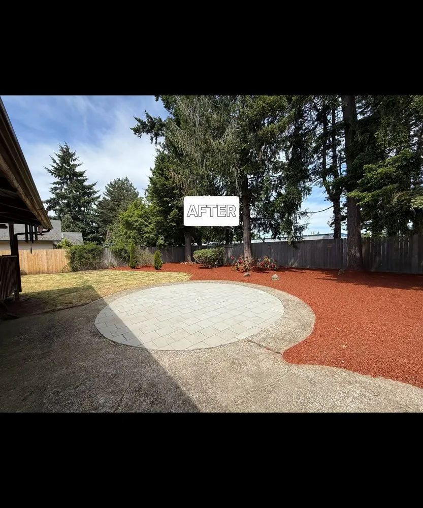 Affordable yard cleanup service for year-round maintenance across Springfield, OR - Beltrans Ground Maintenance