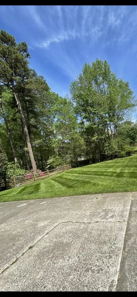 Top-rated lawn care service near you across Clayton, NC - Beltran’s Lawn Care Service