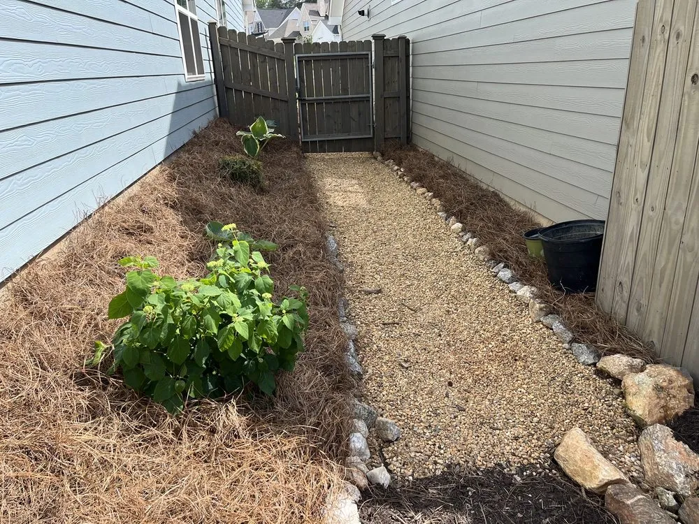 Local yard cleanup service in Williamston, SC by Beltran's Lawn Care