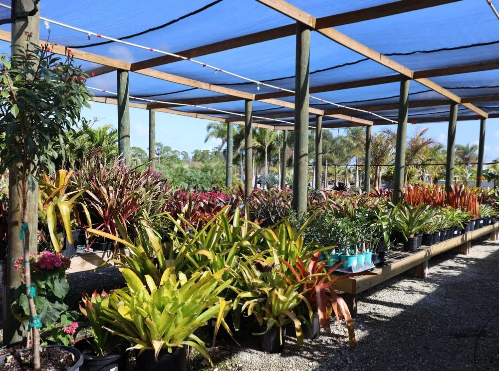 Professional lawn care service in Bokeelia, FL by Beltran's Nursery & Landscape