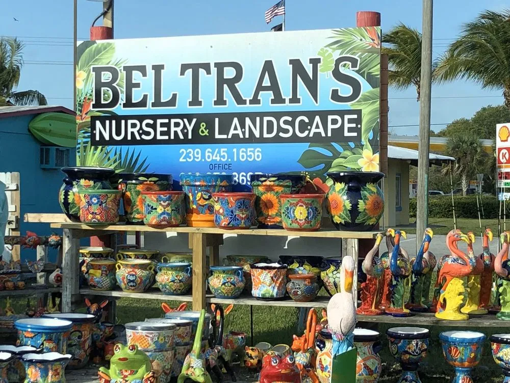 Trusted lawn care service near you in Bokeelia, FL by Beltran's Nursery & Landscape