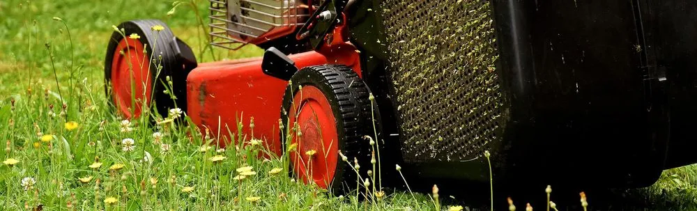 Trusted yard cleanup service in Memphis, TN by Beltrans Professional Lawn Care