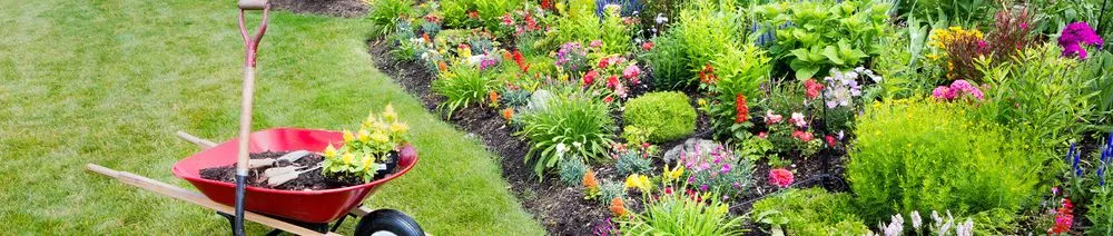 Trusted outdoor landscaping experts serving Memphis, TN - Beltrans Professional Lawn Care