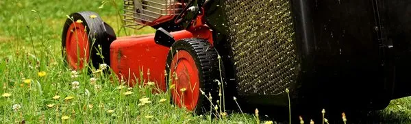 Beltrans Professional Lawn Care Logo