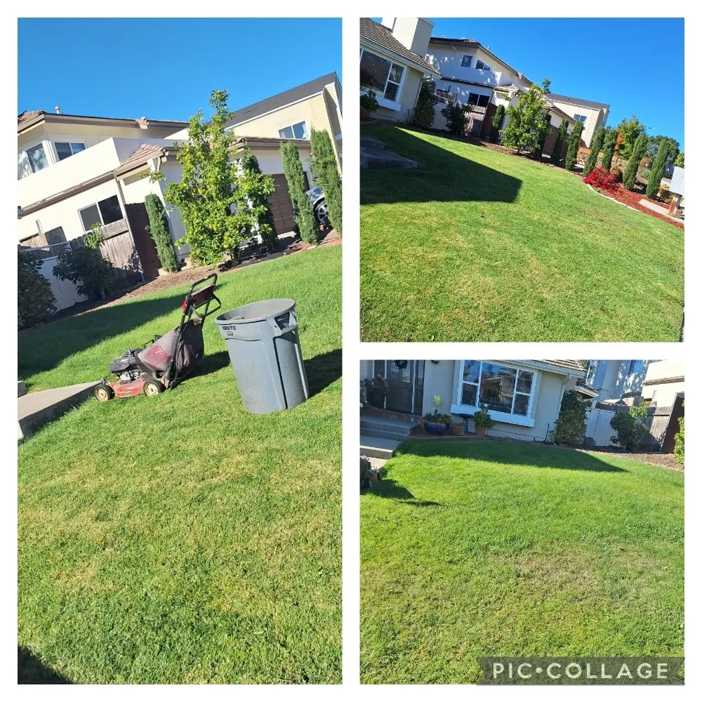 Affordable landscape installation in San Luis Obispo, CA - Beltron Landscaping and Services
