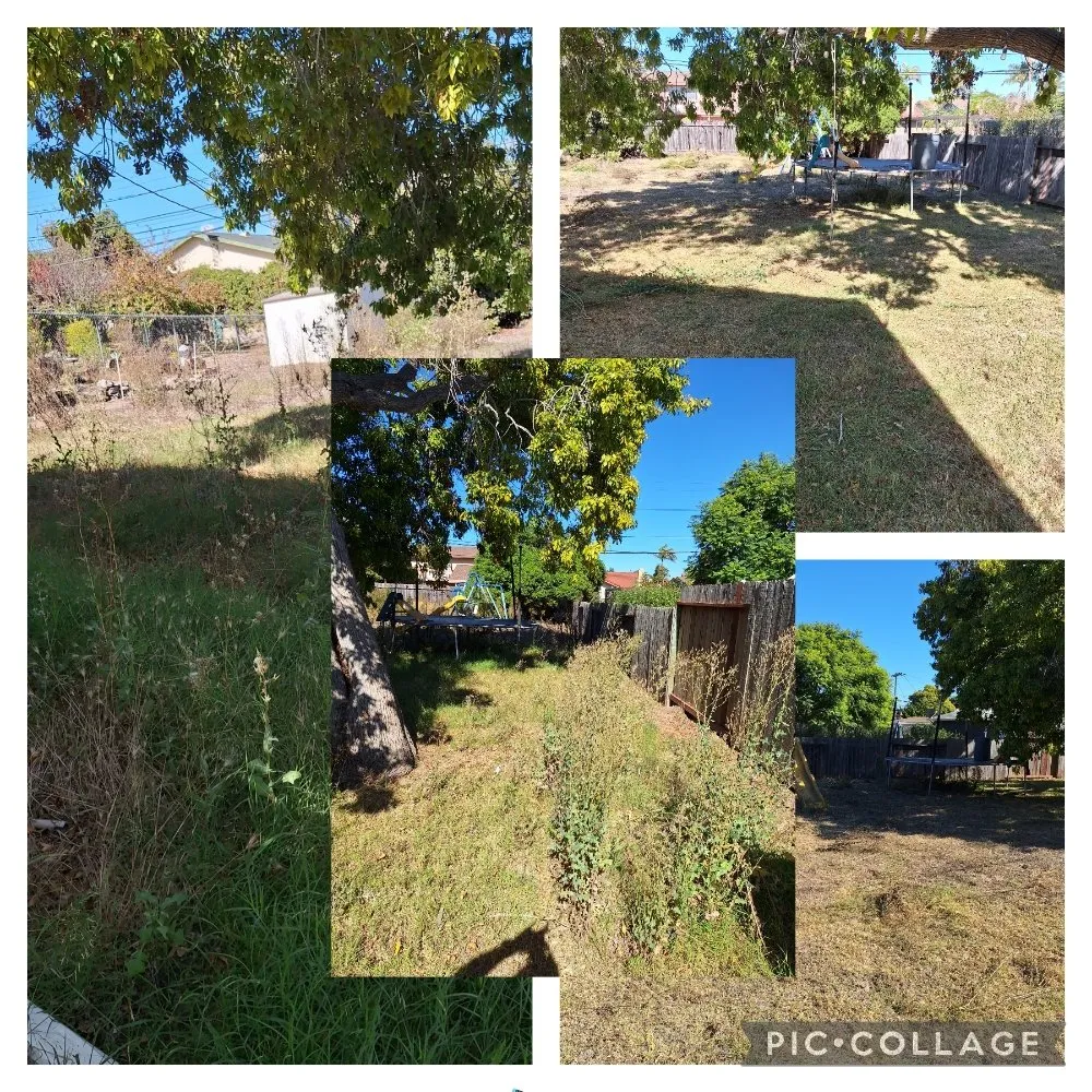 Top-rated lawn mowing service experts serving San Luis Obispo, CA - Beltron Landscaping and Services