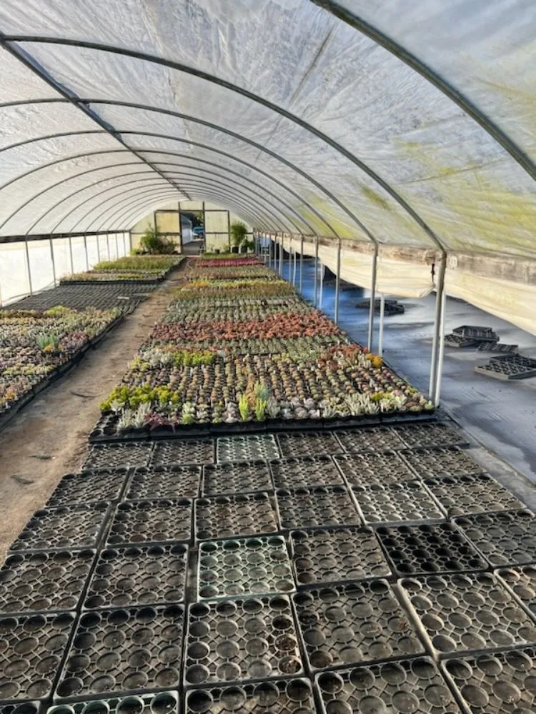 Expert lawn care service experts serving San Luis Obispo, CA - Beltron Landscaping and Services