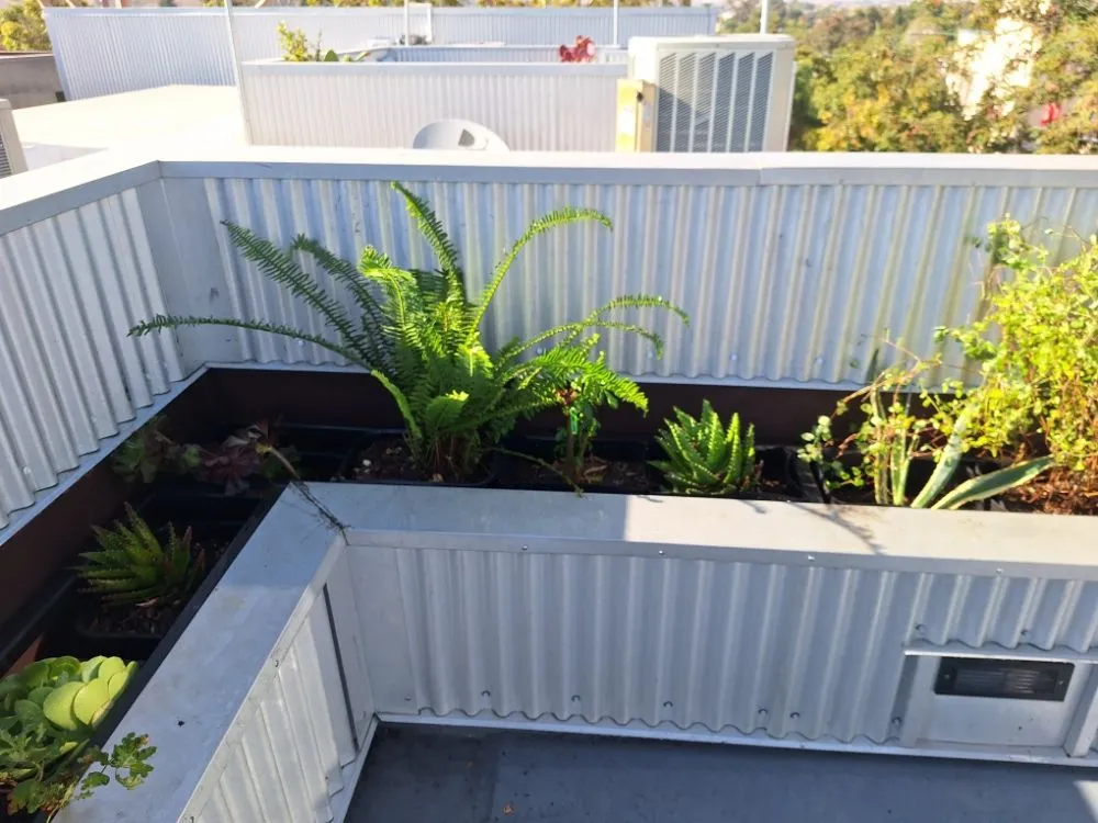 Reliable landscaping services in San Luis Obispo, CA - Beltron Landscaping and Services