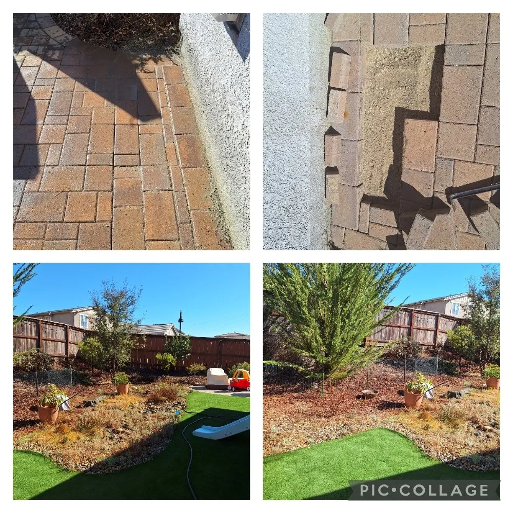 Custom lawn mowing service experts serving San Luis Obispo, CA - Beltron Landscaping and Services