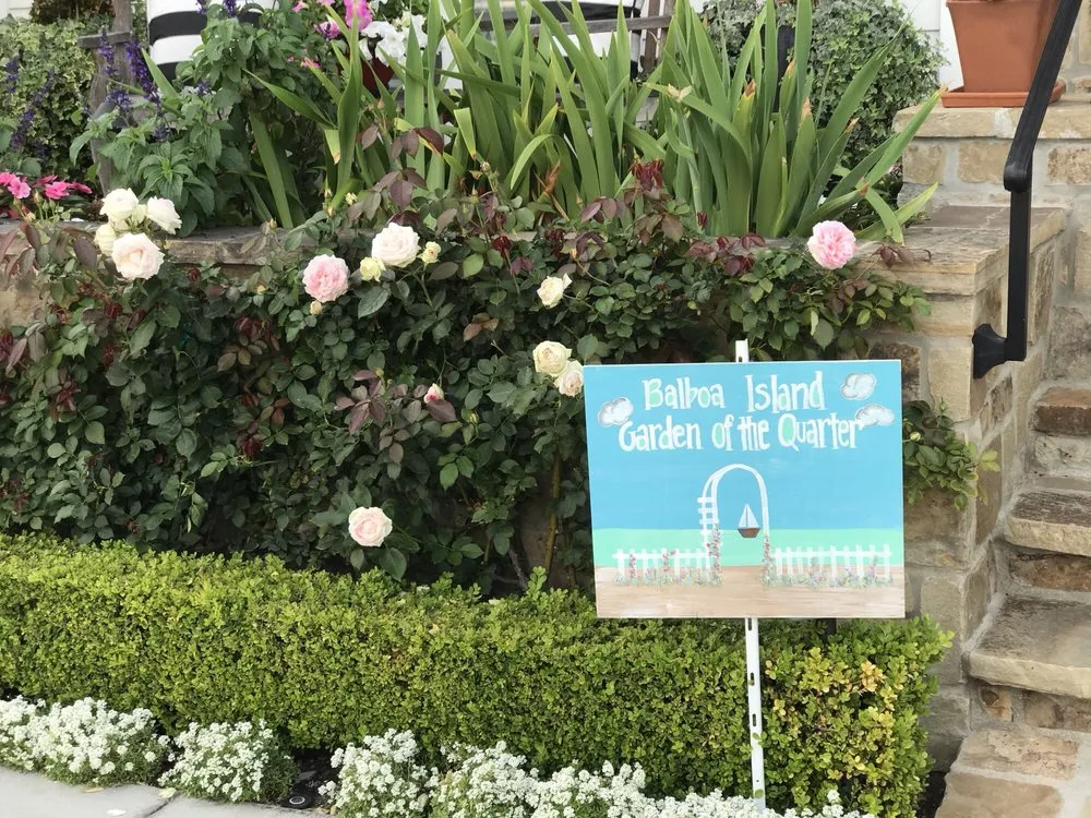 Expert yard cleanup service experts serving Newport Beach, CA - Belville Group Landscaping Services