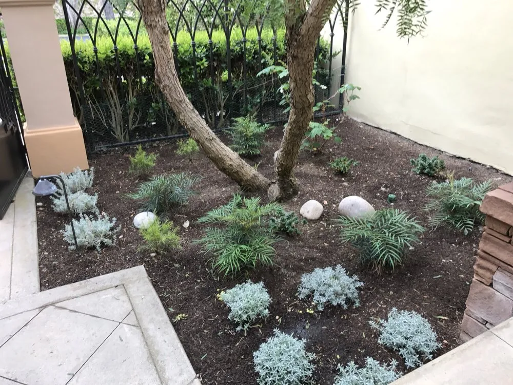 Expert landscaping services experts serving Newport Beach, CA - Belville Group Landscaping Services