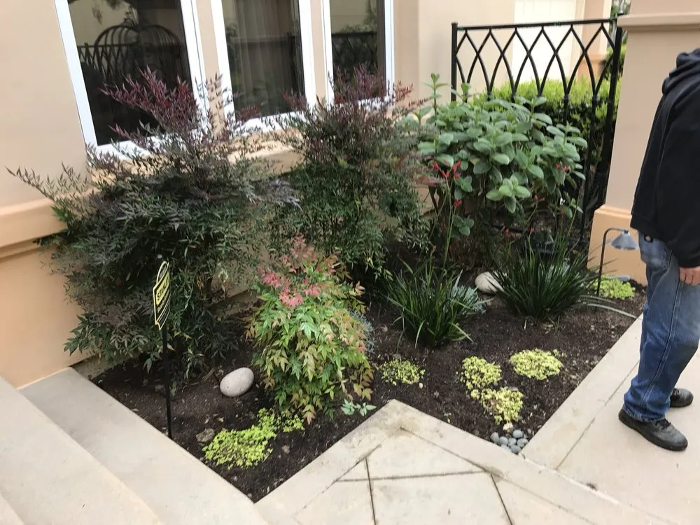 Affordable garden landscaping with custom design across Newport Beach, CA - Belville Group Landscaping Services
