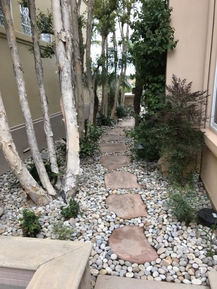 Top-rated lawn care service in Newport Beach, CA by Belville Group Landscaping Services