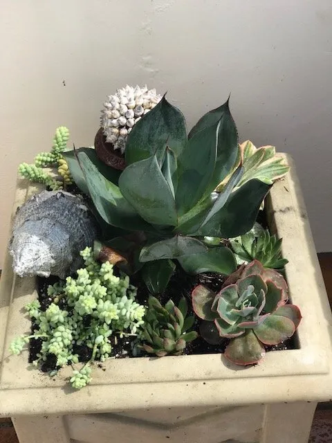 Professional lawn mowing service in Newport Beach, CA - Belville Group Landscaping Services