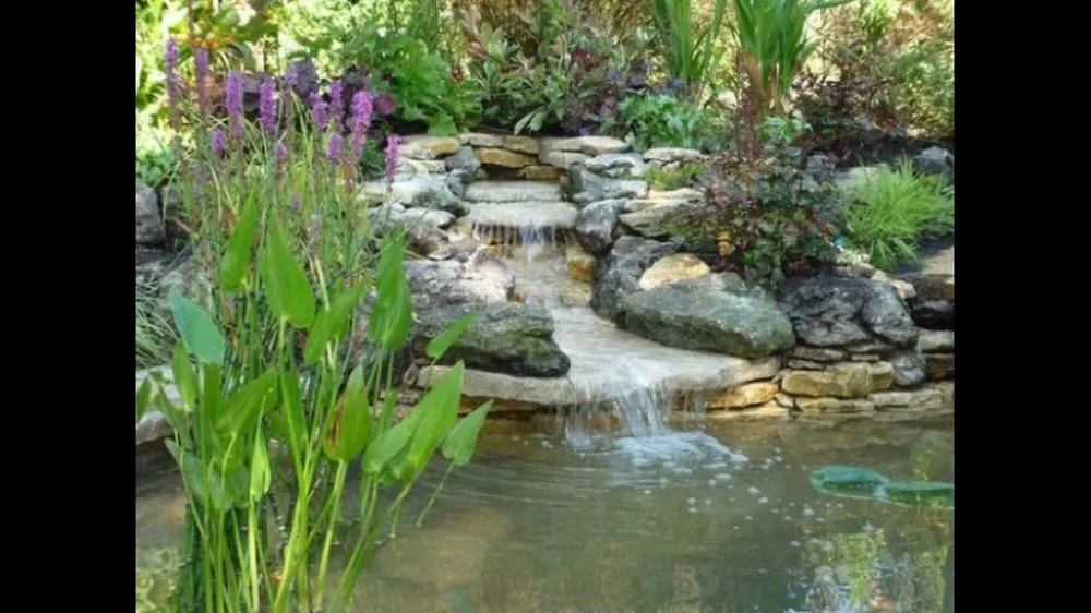 Local garden landscaping in Newport Beach, CA - Belville Group Landscaping Services