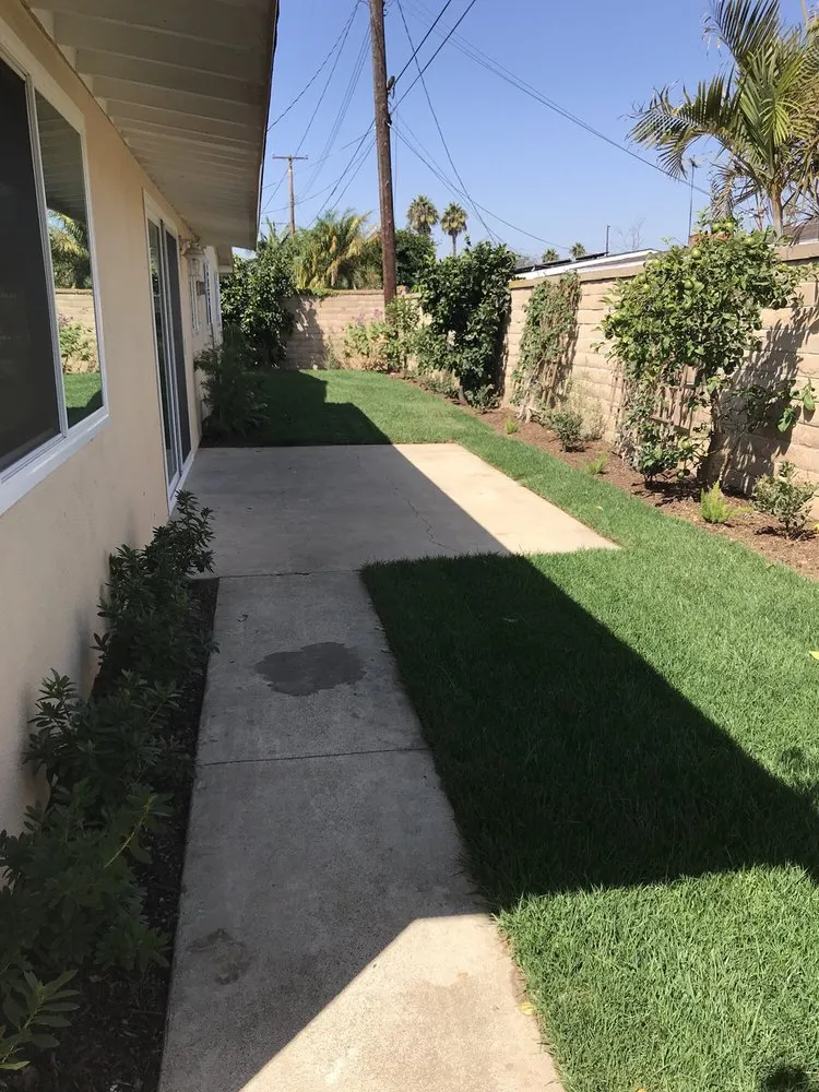 Affordable yard cleanup service in Newport Beach, CA by Belville Group Landscaping Services
